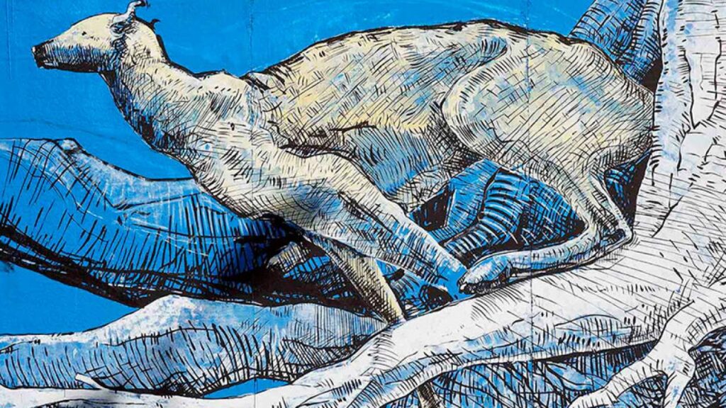 Arte Urbano en La Docta. ¿Reconoces los murales?
