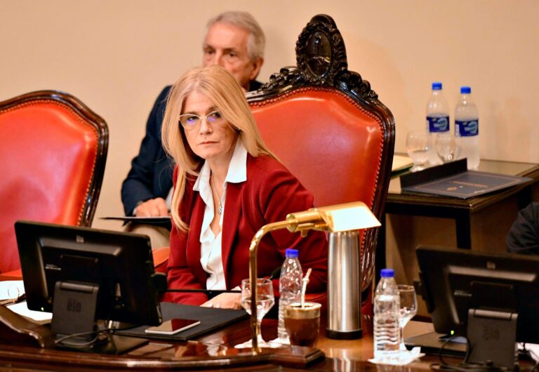 El Senado bonaerense no sancionó este año ni una sola ley, pero gasta $428 millones por día