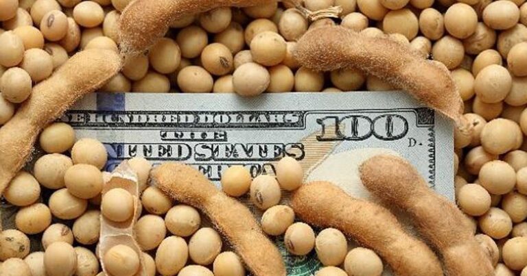 Agrodólares: por qué viene lenta la liquidación del campo y cómo puede influir en el tipo de cambio