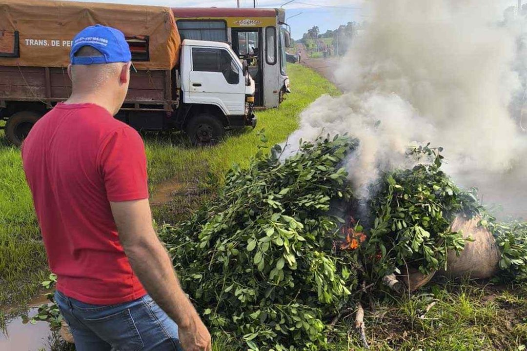 La crisis yerbatera llegó a Passalacqua: le piden una ley para evitar el colapso
