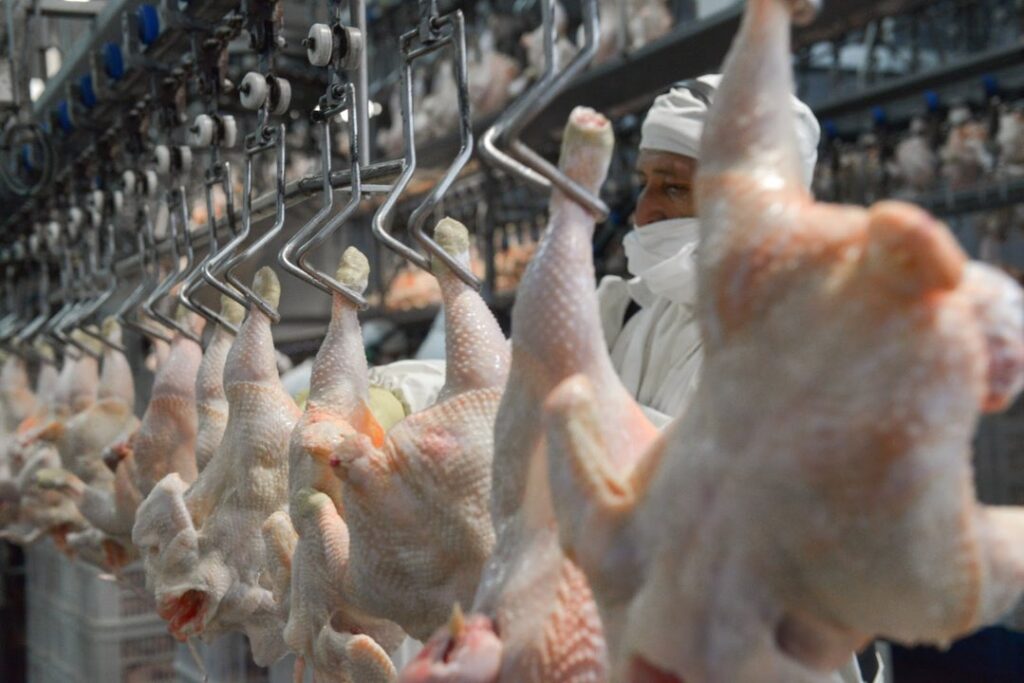 El pollo hace historia en la mesa de los argentinos: ya supera a la carne vacuna en consumo