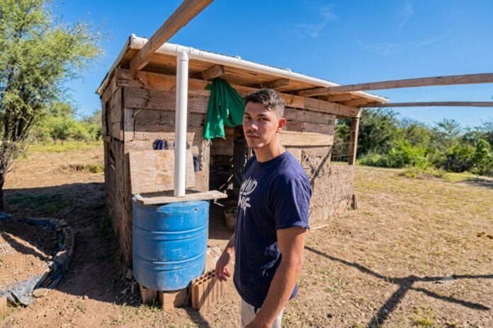 Elige la Libertad: Un Hombre Deja Todo por una Vida en el Campo
