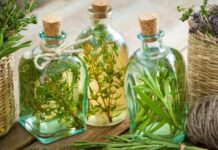 Caña con Ruda: Tradición y Preparación del 1° de Agosto
