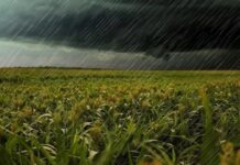 Alerta por Tormentas: El Niño Genera Precipitaciones Excesivas en Zonas Agrícolas