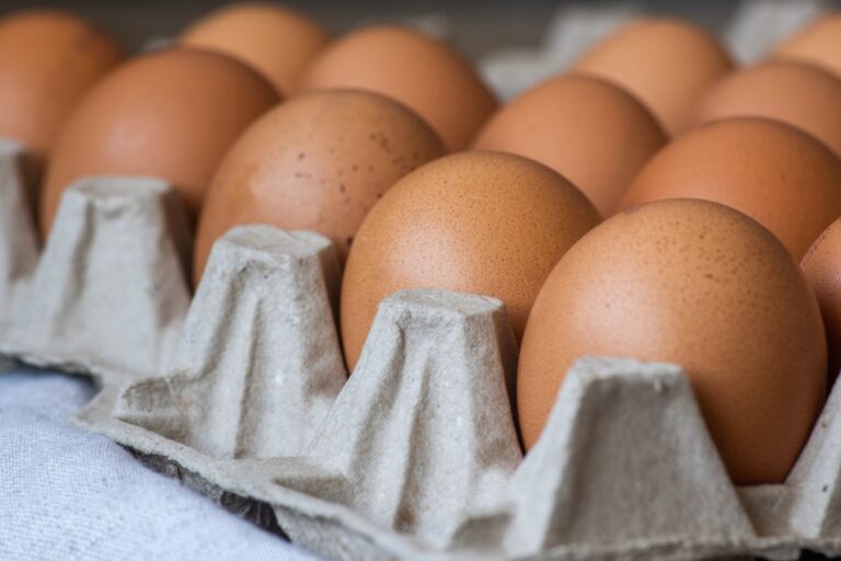 Casi cinco millones de huevos gratis para Nueva York: un acuerdo que busca combatir la fijación de precios