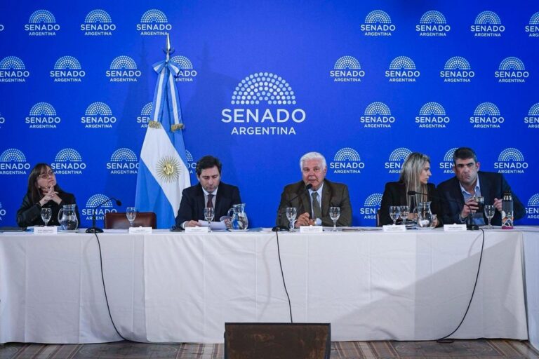 El Senado Debate el Régimen de Incentivo para Grandes Inversiones en Nuevas Industrias