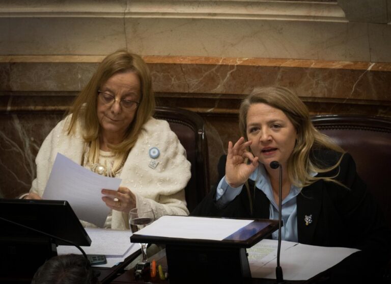 Senadores K exigen rendición de cuentas a Santilli y Caputo sobre fondos viales