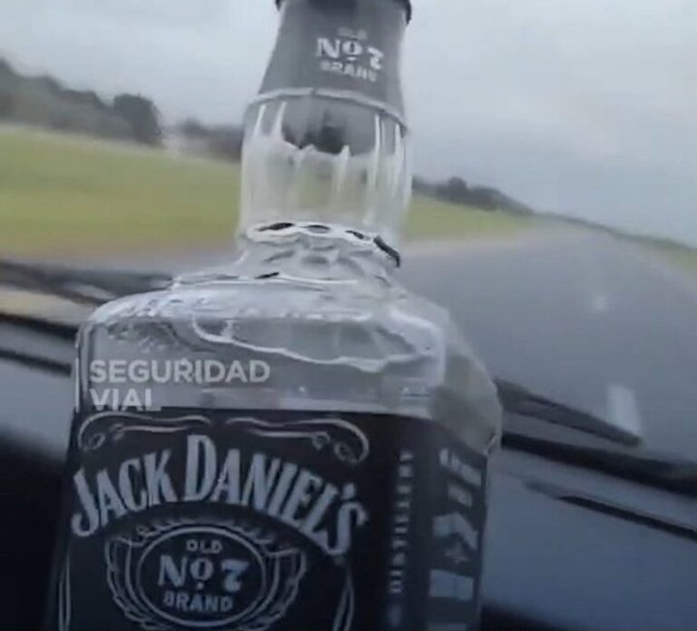 Conductor se burla de la seguridad vial mientras consume alcohol al volante