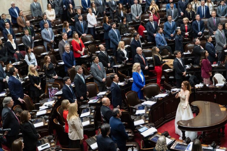 ¿Más Diputados en Argentina? El Desafío de la Representación y la Tecnología