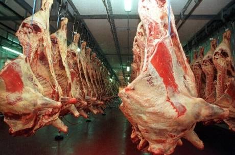Cámaras Frigoríficas Respaldan Aportes al Ipcva y Rechazan Cambios del Gobierno