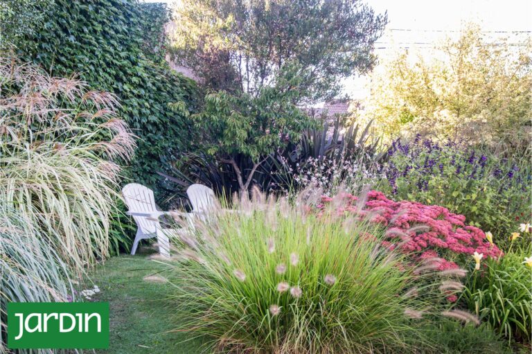 Transforma Tu Jardín Pequeño en un Espacio Infinito con el Efecto Bosque