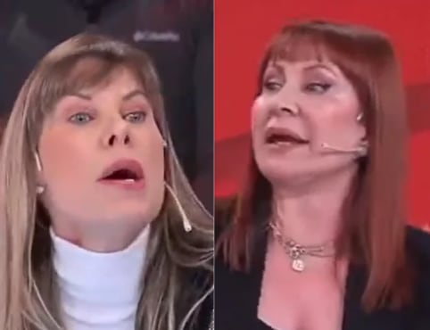 Tensión en vivo: Reichardt y Blanco protagonizan acalorada discusión sobre protección animal