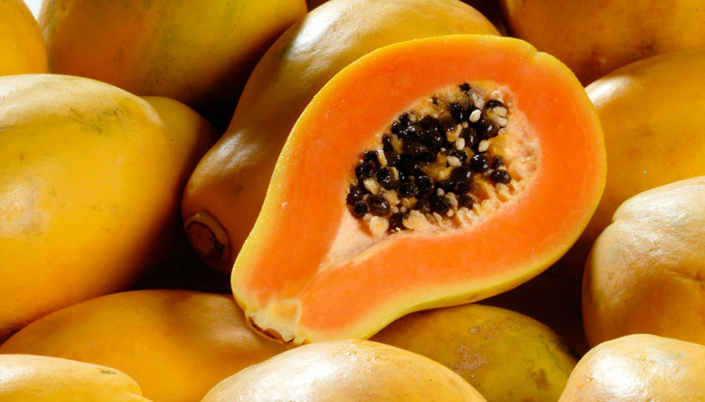 Descubre la Papaya: Propiedades, Cultivo y Beneficios en Argentina
