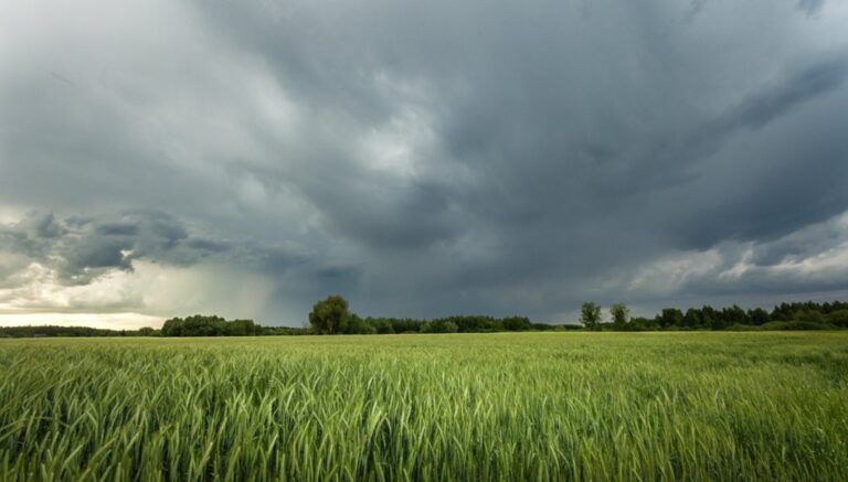 Pronóstico del Clima: Nubes y Temperaturas Moderadas para Hoy