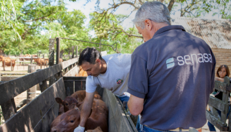 Tensión en el Agro: Piden Revisión de la Desregulación de la Vacunación Antiaftosa