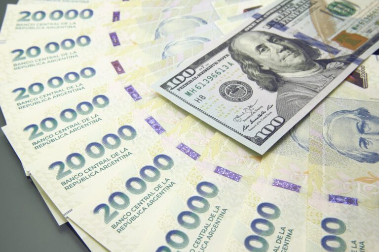 Seis Meses de Desafíos para el Modelo Económico de Javier Milei