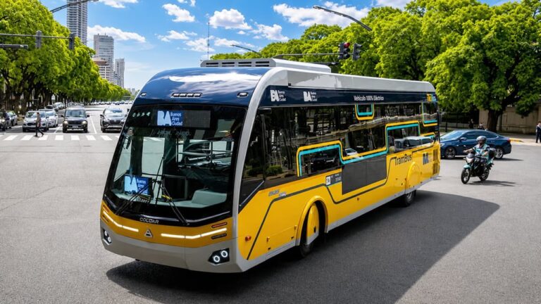 Transformación vial: 18 calles de Buenos Aires se adaptan al nuevo Trambus