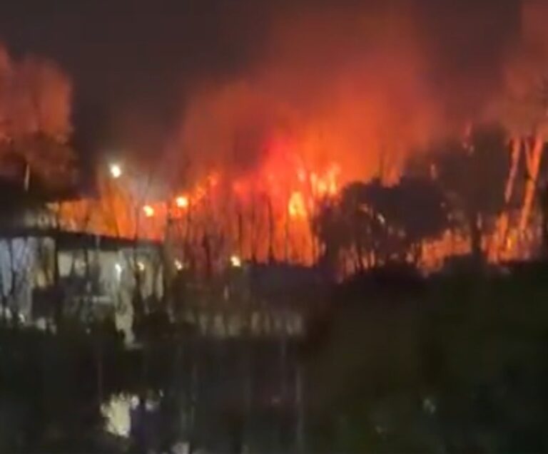 Incendio en el Club Náutico de Olivos: Emergencia sin heridos