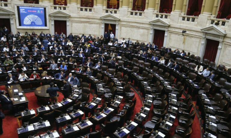 La UCR exige ajustes en el Presupuesto 2027 para discapacidad y asignaciones sociales