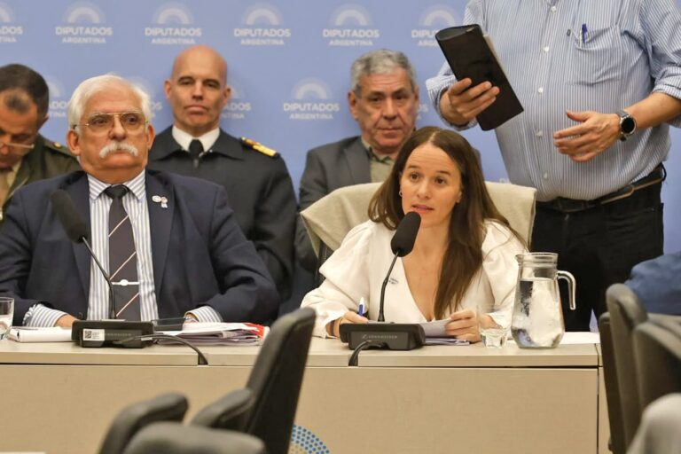 Tensión en el Congreso: El Gobierno defiende el proyecto de Malvinas en medio de críticas